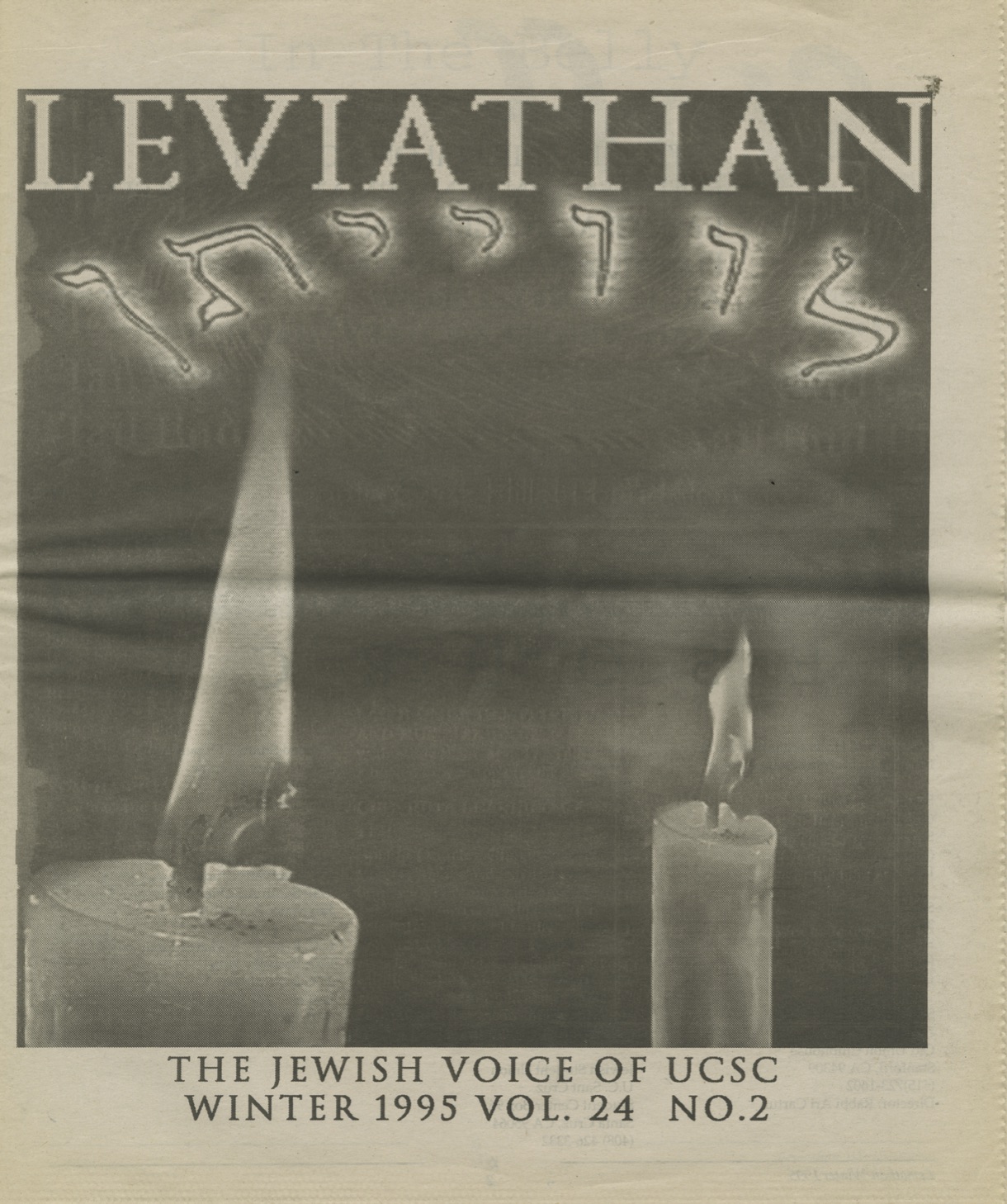 1995 Vol 24 No 2 Issue